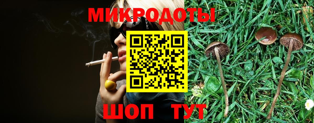 Каменка  Псилоцибиновые грибы MAGIC MUSHROOMS  Вход с VPN 