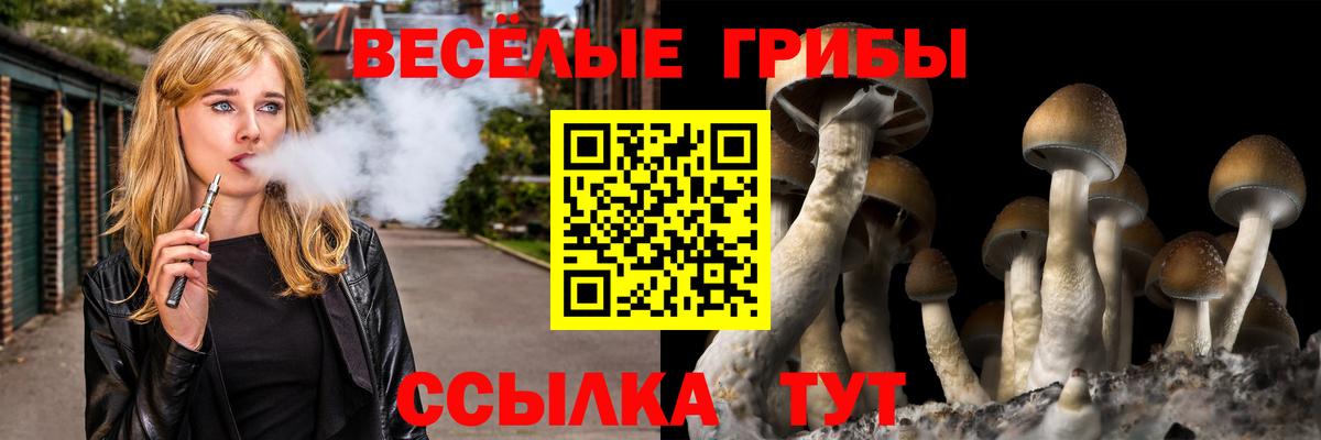 Галлюциногенные грибы Cubensis Каменка